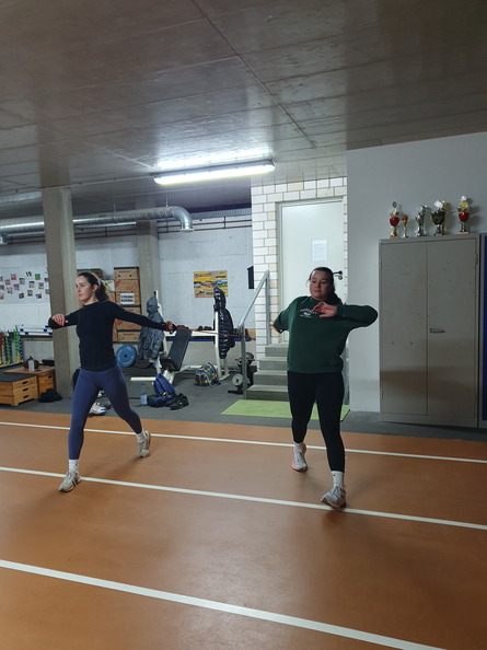 Imitationen Diskus 3.jpg