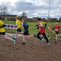 20250216_123101.jpg