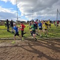 20250216_141622(0).jpg