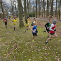 20250216_141824(0).jpg