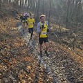 20241130_135357.jpg