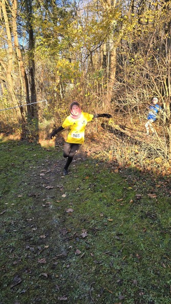 20241130 144608(0) - 20241130_144608(0).jpg 20241130_144608(0).jpg