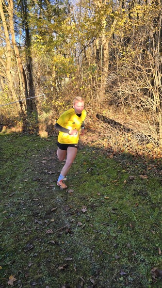 20241130 144619 - 20241130_144619.jpg 20241130_144619.jpg