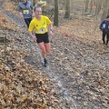 20241130_152159(0).jpg