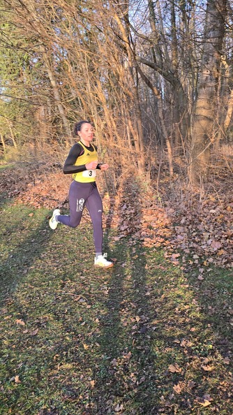 20241130 153311 - 20241130_153311.jpg 20241130_153311.jpg