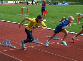 Start 50m 3