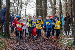 Schülerlauf1