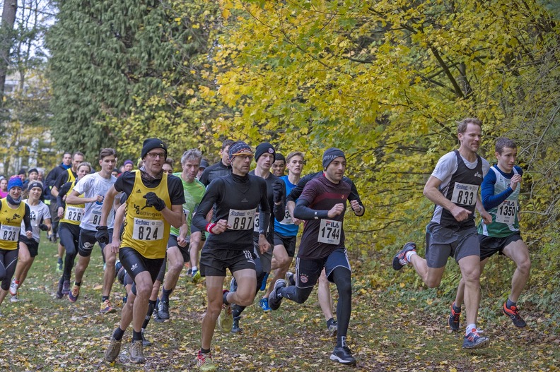20191116 144904 DSC00235 - 20191116_144904 DSC00235.jpg 20191116_144904 DSC00235.jpg