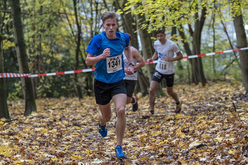 20191116 145535 DSC00414 - 20191116_145535 DSC00414.jpg 20191116_145535 DSC00414.jpg