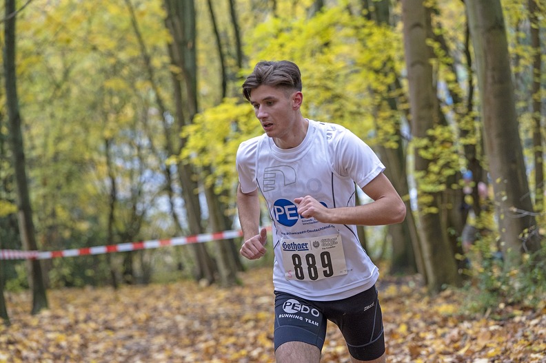 20191116 145542 DSC00422 - 20191116_145542 DSC00422.jpg 20191116_145542 DSC00422.jpg