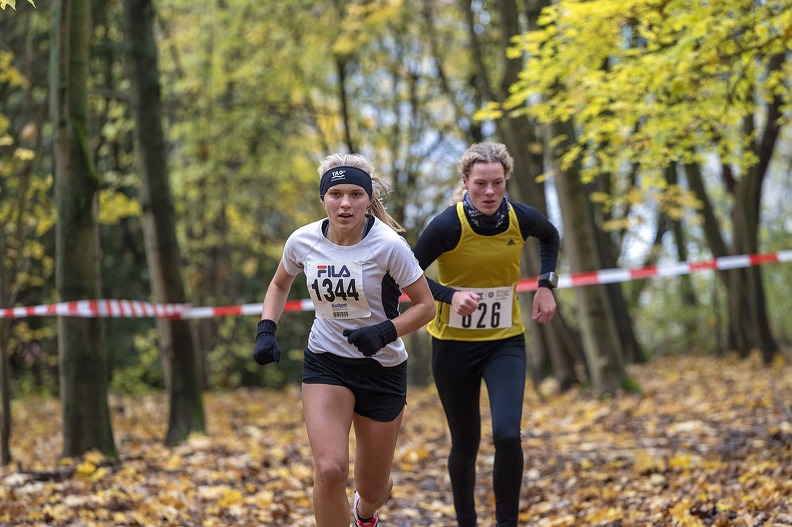 20191116 145625 DSC00458 - 20191116_145625 DSC00458.jpg 20191116_145625 DSC00458.jpg