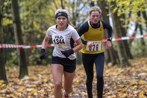 20191116 145625 DSC00458sm