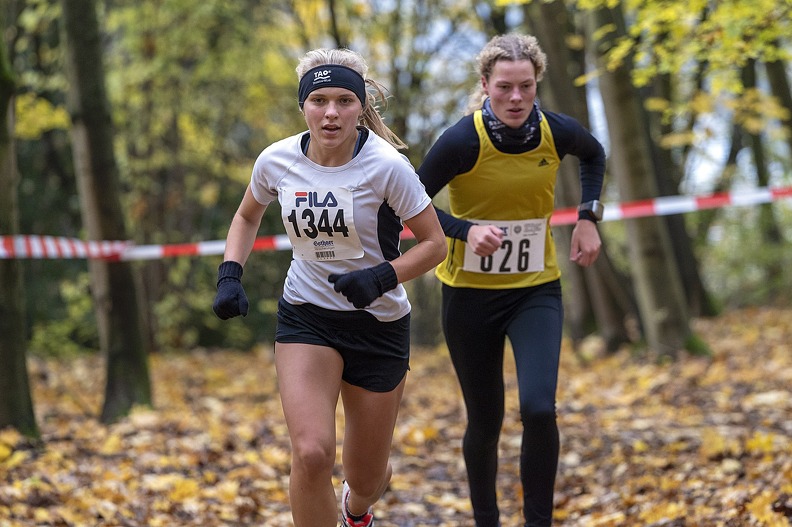 20191116 145625 DSC00458sm - 20191116_145625 DSC00458sm.jpg 20191116_145625 DSC00458sm.jpg