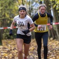 20191116_145625 DSC00458sm.jpg