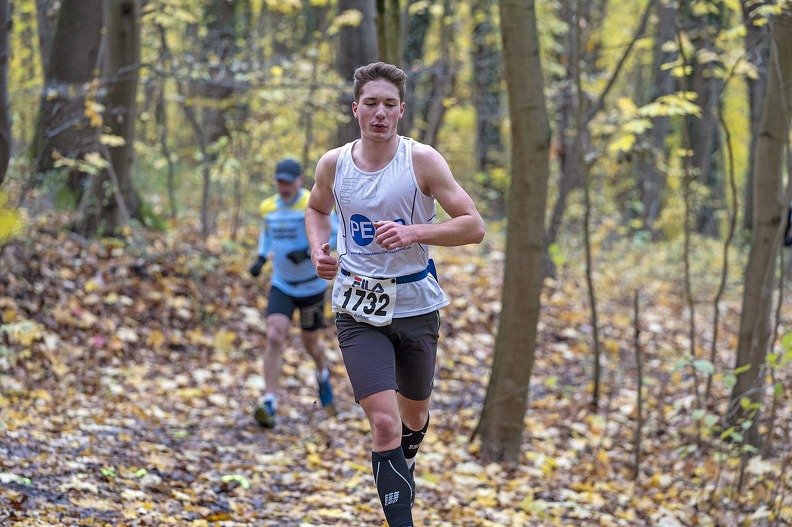 20191116 145900 DSC00519 - 20191116_145900 DSC00519.jpg 20191116_145900 DSC00519.jpg