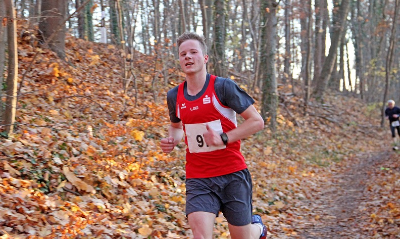 20181117 170400 IMG 4628 - 20181117_170400 IMG_4628.jpg 20181117_170400 IMG_4628.jpg
