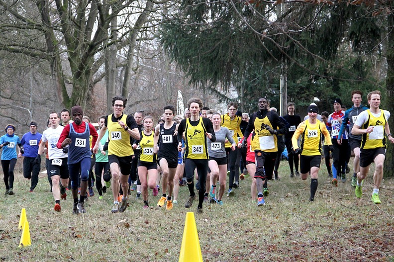 20161210 151242 IMG 8622 - 20161210_151242 IMG_8622.jpg 20161210_151242 IMG_8622.jpg