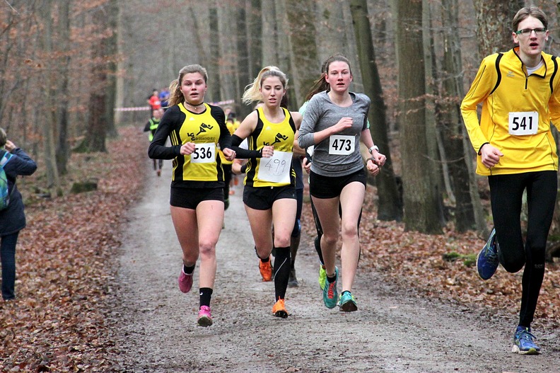 20161210 151711 IMG 8647 - 20161210_151711 IMG_8647.jpg 20161210_151711 IMG_8647.jpg