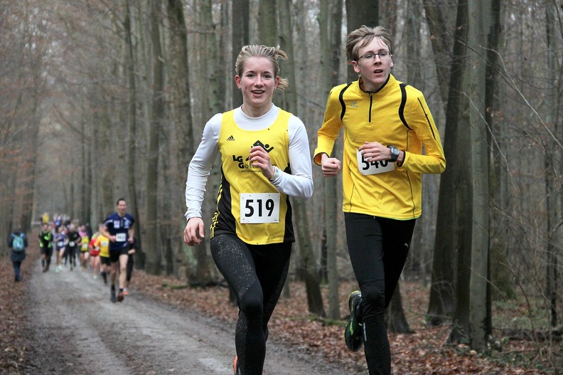 20161210 151728 IMG 8659 - 20161210_151728 IMG_8659.jpg 20161210_151728 IMG_8659.jpg