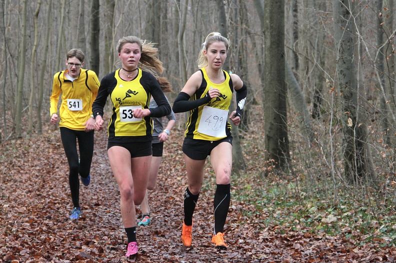 20161210 152205 IMG 8764 - 20161210_152205 IMG_8764.jpg 20161210_152205 IMG_8764.jpg