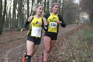 20161210 152514 IMG 8810