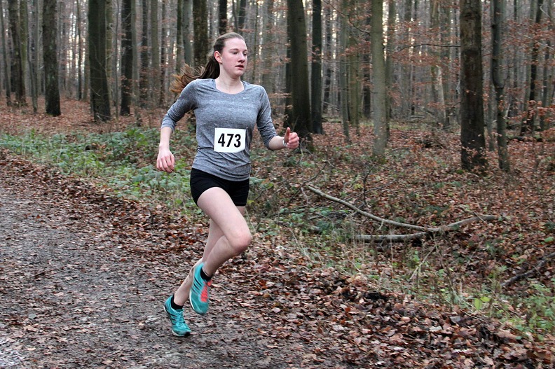 20161210 152524 IMG 8815 - 20161210_152524 IMG_8815.jpg 20161210_152524 IMG_8815.jpg