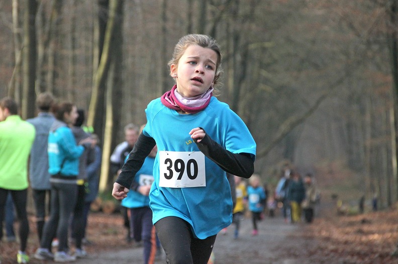 20161210 155911 IMG 8943 - 20161210_155911 IMG_8943.jpg 20161210_155911 IMG_8943.jpg