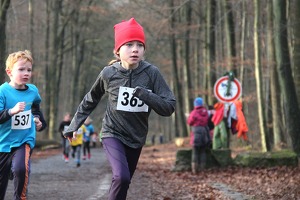 20161210 155914 IMG 8945