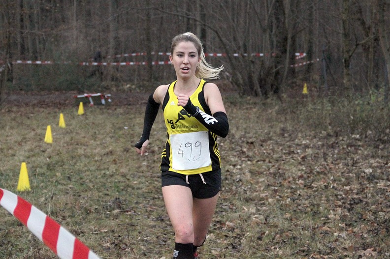 20161210 170018 IMG 9388 - 20161210_170018 IMG_9388.jpg 20161210_170018 IMG_9388.jpg