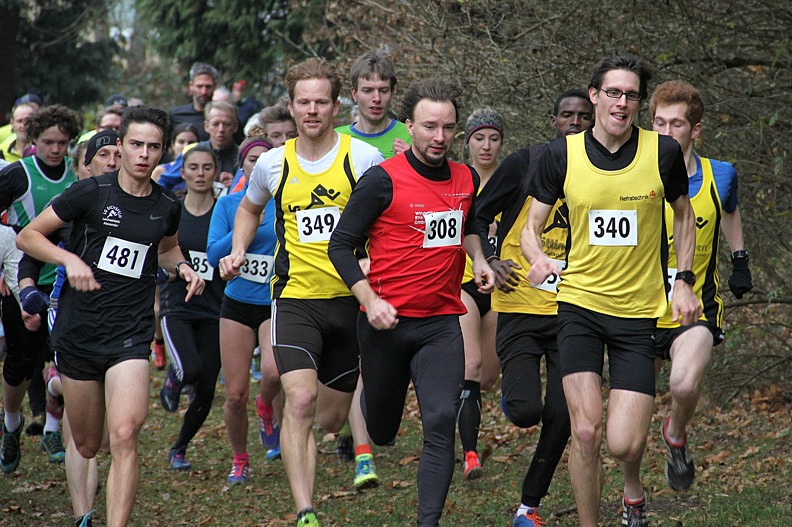 20161126 151130 IMG 7937 - 20161126_151130 IMG_7937.jpg 20161126_151130 IMG_7937.jpg