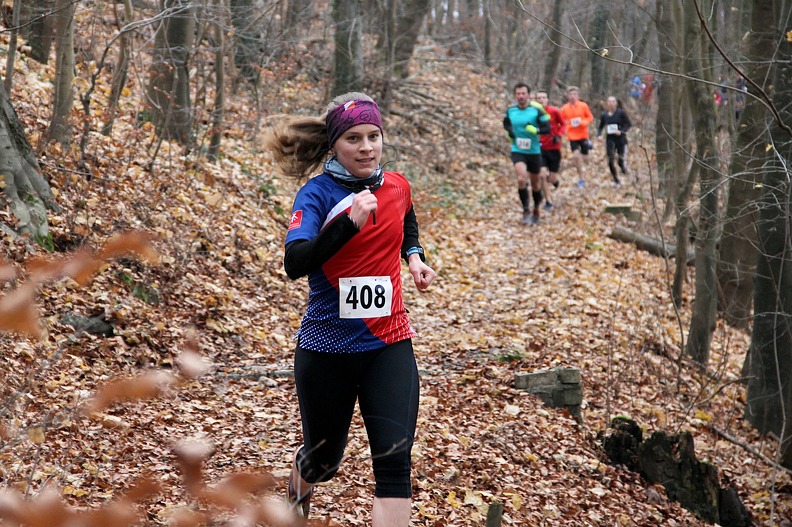 20161126 151531 IMG 7992 - 20161126_151531 IMG_7992.jpg 20161126_151531 IMG_7992.jpg