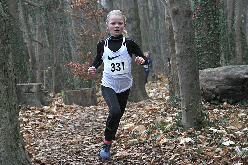 20161126 160741 IMG 8291 - 20161126_160741 IMG_8291.jpg 20161126_160741 IMG_8291.jpg