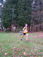 20101120 140148 crossifs 001
