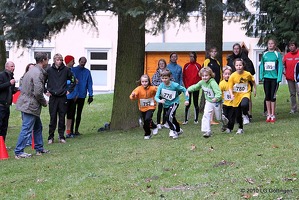 crossifs 079