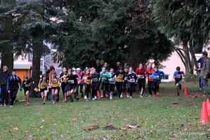 crossifs 086