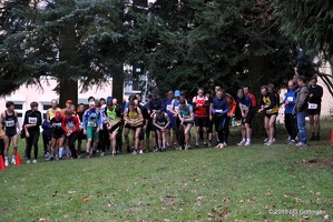 crossifs 092