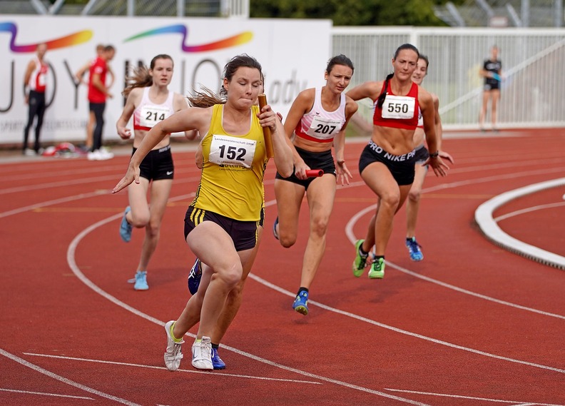 20190908 154950 DSC08060 - 20190908_154950 DSC08060.jpg 20190908_154950 DSC08060.jpg