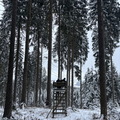 IMG_7170.jpeg