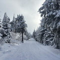 IMG_7160.jpeg