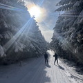 IMG_7158.jpeg