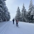 IMG_7153.jpeg