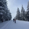 IMG_7151.jpeg