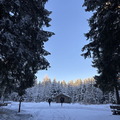 IMG_7136.jpeg