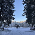 IMG_7135.jpeg