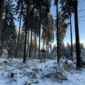 IMG_7127.jpeg