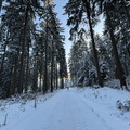 IMG_7121.jpeg