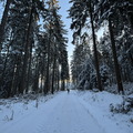 IMG_7120.jpeg