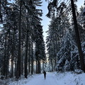 IMG_7119.jpeg