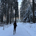 IMG_7116.jpeg