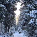IMG_7112.jpeg